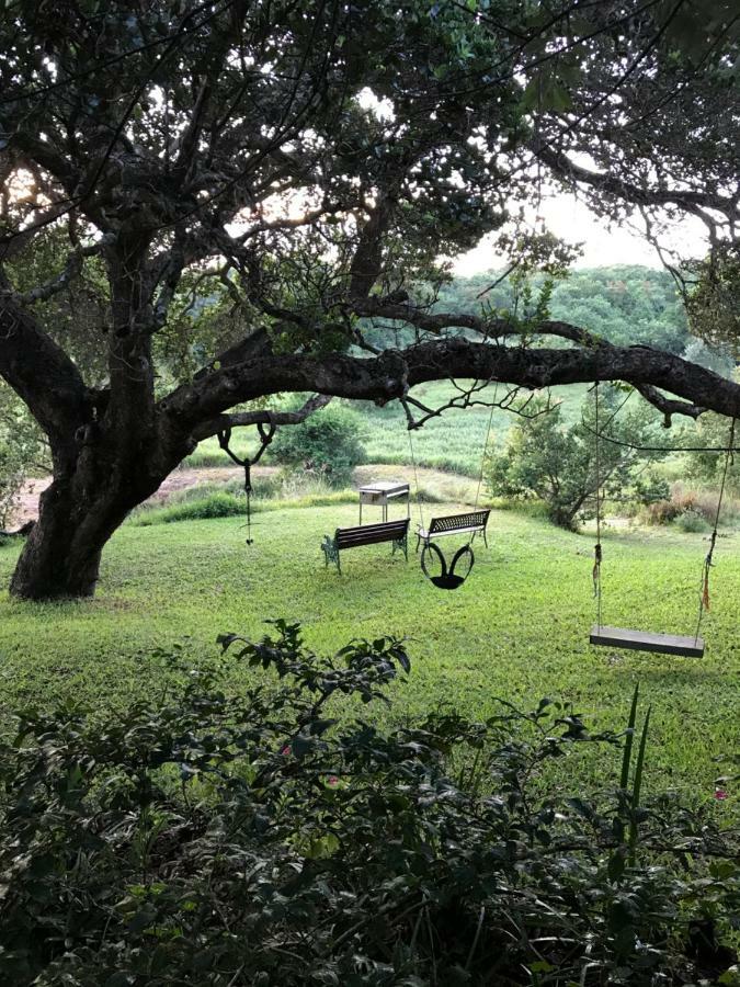 Nkumbe Bush Retreat Family Home Ponta Malongane Εξωτερικό φωτογραφία